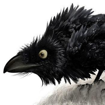 Mister Crow