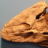 Darth Tiktaalik