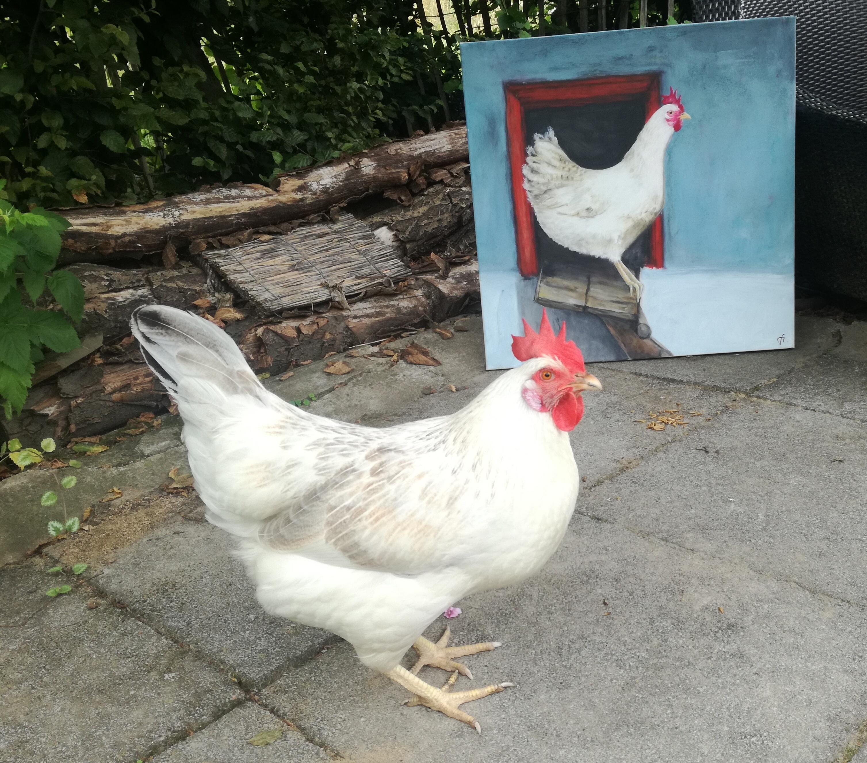 Kunst mit Huhn