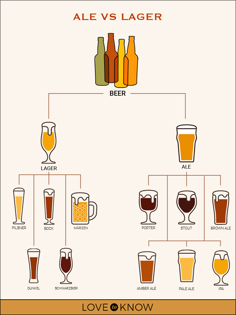 Лагер и пилснер в чем отличие. Ale and Lager. Лагер Эль и Пилснер.