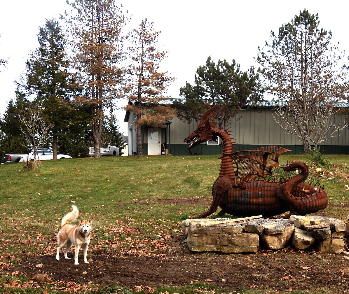 dragon and doggo are friends