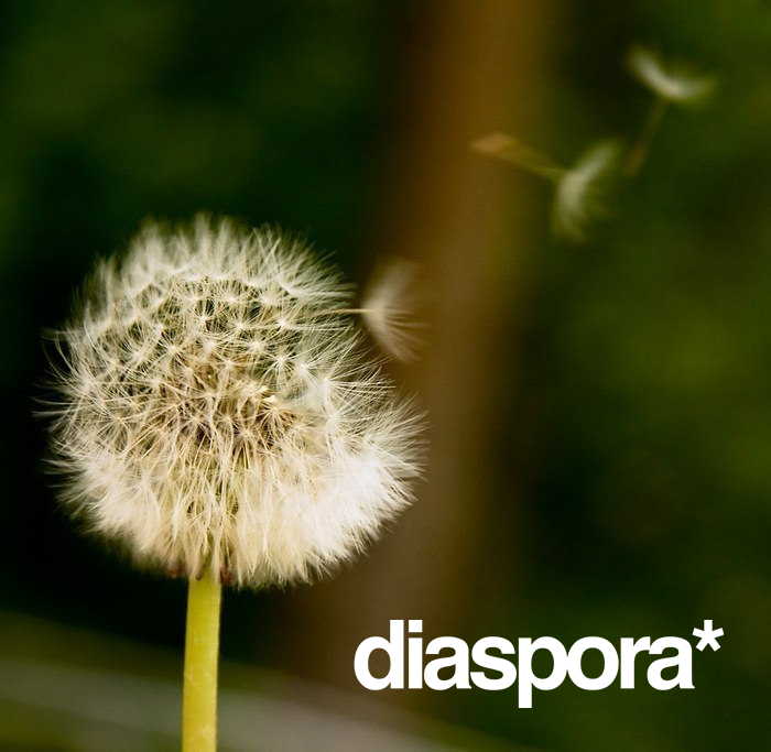 Diaspora dandelion